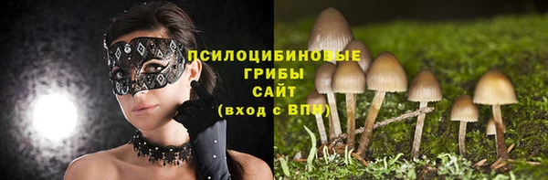 первитин Медвежьегорск