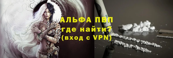 дживик Мегион