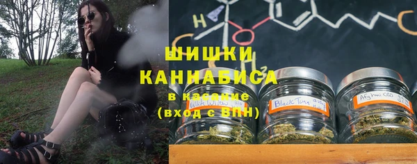 дживик Мегион