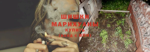дживик Мегион