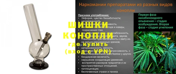 дживик Мегион