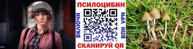 Галлюциногенные грибы Psilocybine cubensis  где найти   Уяр 